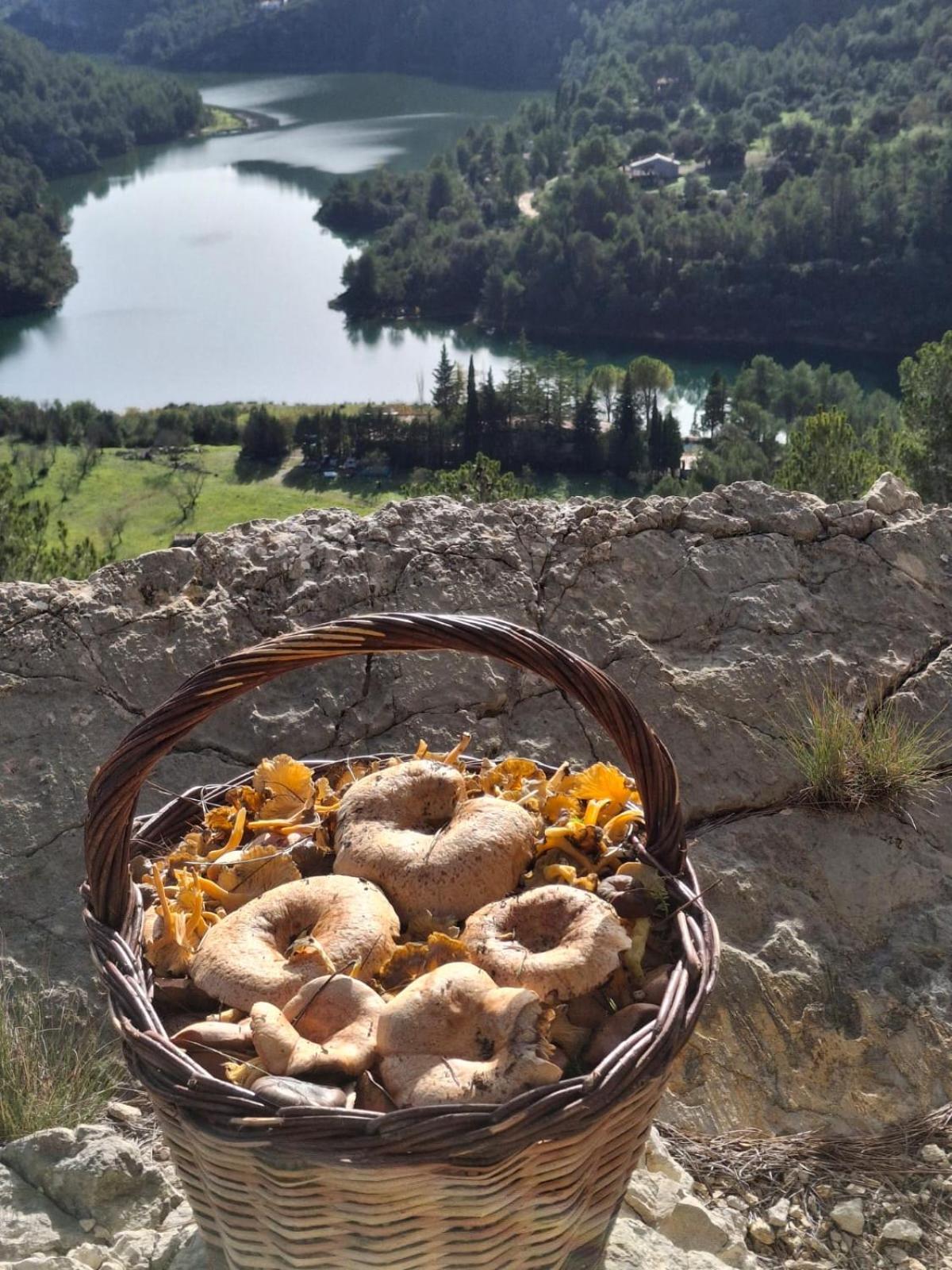 Los Tres Castells La Senia Εξωτερικό φωτογραφία